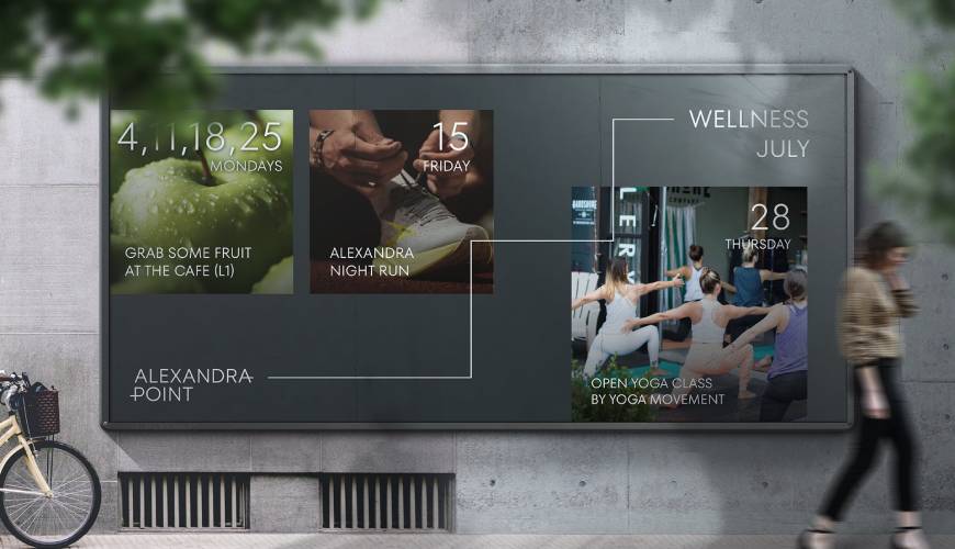 洛扎县画册设计公司如何进行品牌审核